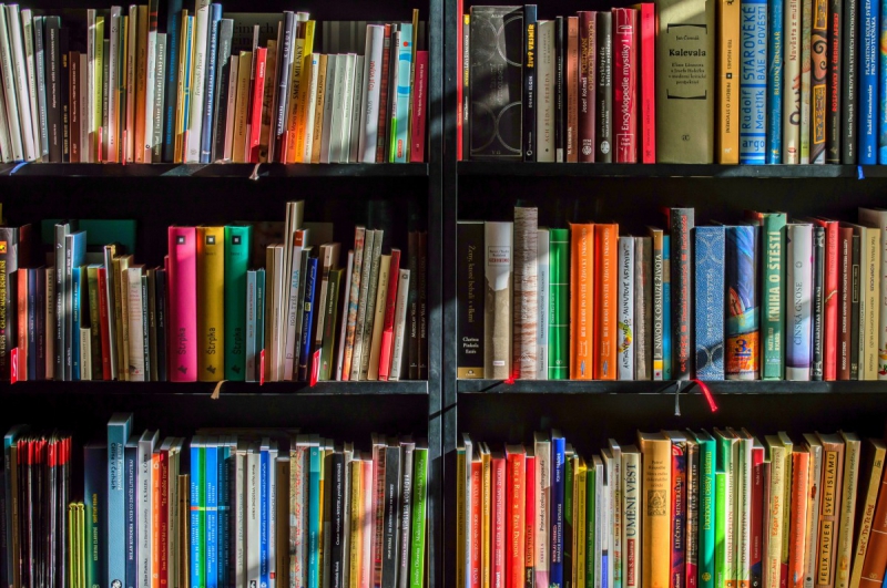 magasin-TRIGANCE-min_books_bookstore_book_reading_shop_writer_sale_books_read-822866